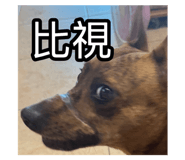 795997560