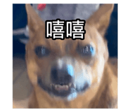795997562