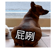 795997569