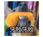 795997570