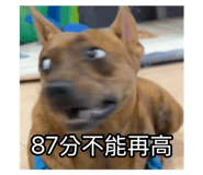 795997572