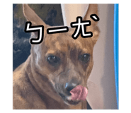 795997575