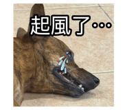 795997587