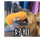 795997588