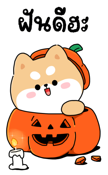 ลายที่ 23