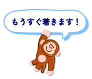796000904
