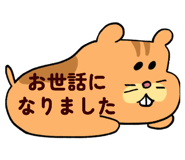 796000905