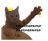 796001592