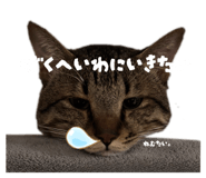 796001596