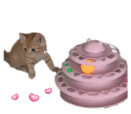 796001597