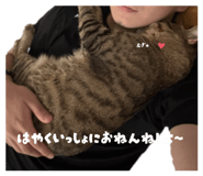 796001598
