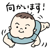 796003026