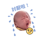 796004667