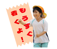 796008234