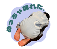 796008240