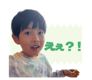 796008254