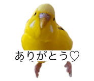 796008417