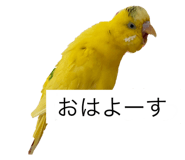 796008418