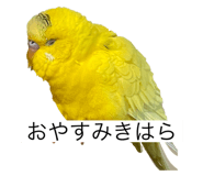 796008419