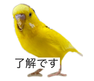 796008420