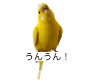796008424