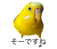 796008425