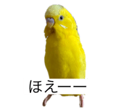 796008426