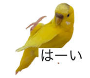 796008428