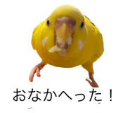 796008430
