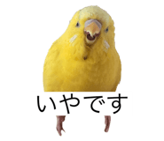 796008431