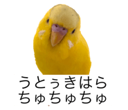 796008432