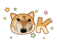 796018100