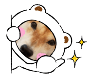 796018110