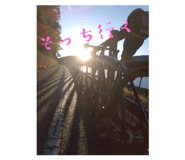 796021205