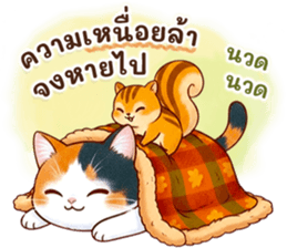 796022120
