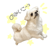 796023607