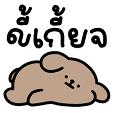 ลายที่ 23