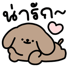 ลายที่ 25