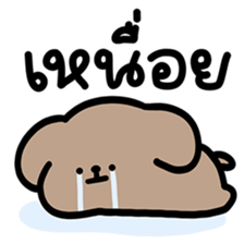 ลายที่ 29