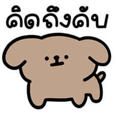 ลายที่ 37