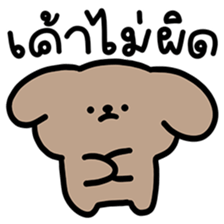 ลายที่ 41