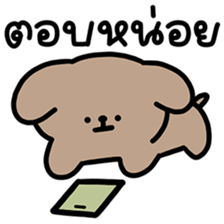 ลายที่ 45