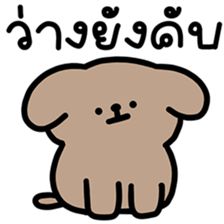 ลายที่ 77