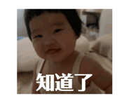 796033047