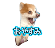 796035242