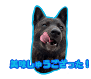 796046677