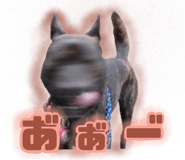796046683