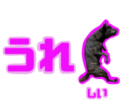796046690