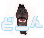796046692