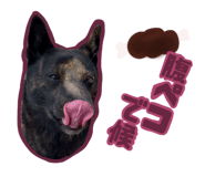 796046694